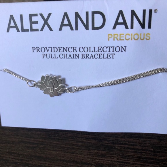 Alex and Ani Jewelry - 925 Alex and Ani adjustable pull chain bracelet